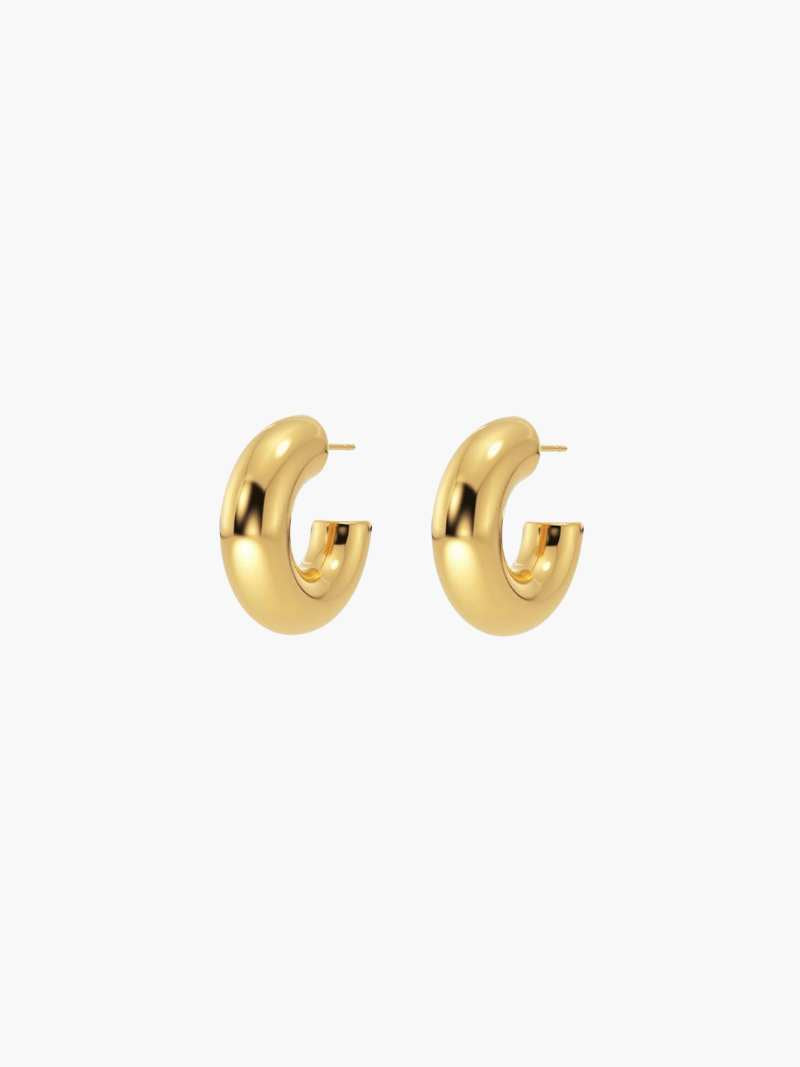 Laurienne™ | Chunky Earrings